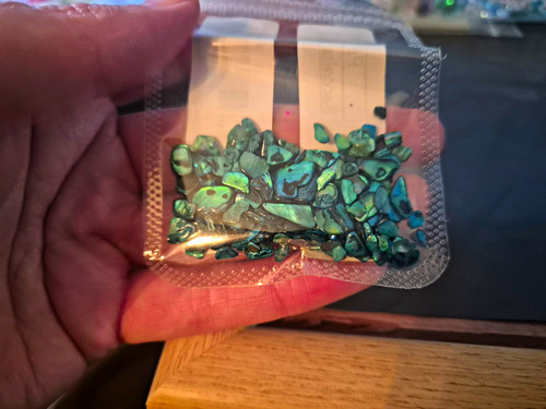 Abalone shell chip beads - shell,