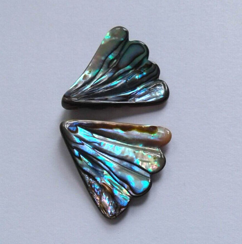 Natural paua abalone shell - natural, paua/abalone
