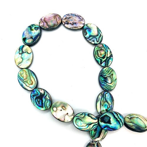 20pcs natural abalone paua - natural,