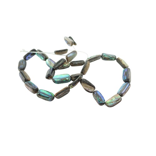 Lumea paua abalone - [lumea],