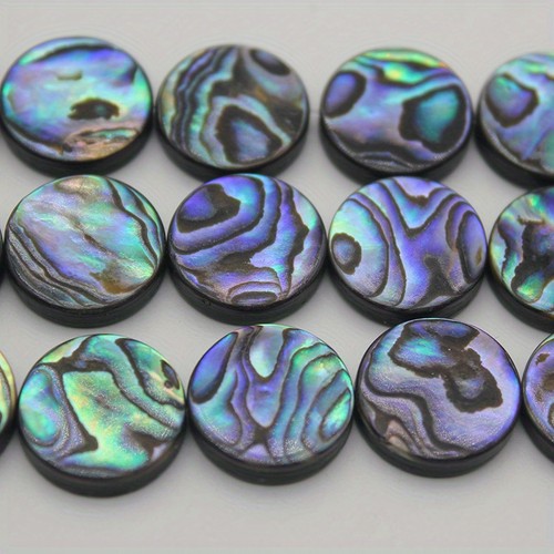 Round natural abalone shell - abalone,