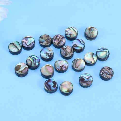 Assorted color abalone - assorted,