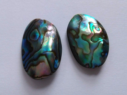 Natural paua abalone shell - paua/abalone,