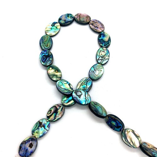 10pcs natural abalone - 10pcs, paua