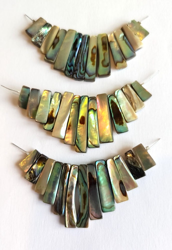 Lot abalone paua - of, shell
