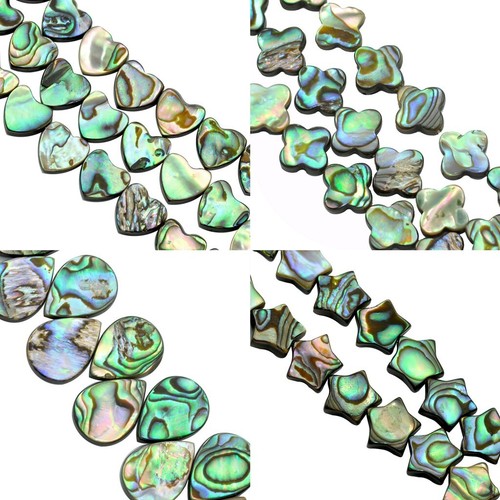 Green abalone shell mother - shell,