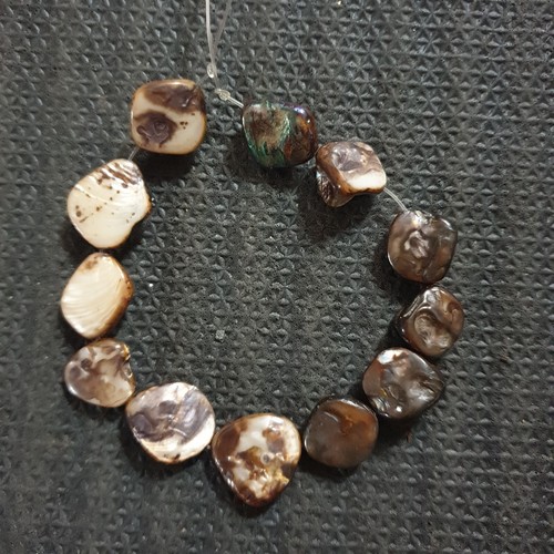 Brown abalone shell beads