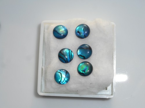Abalone shell 8mm - , round