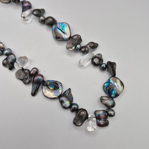 Abalone shell cultured - cultured, &