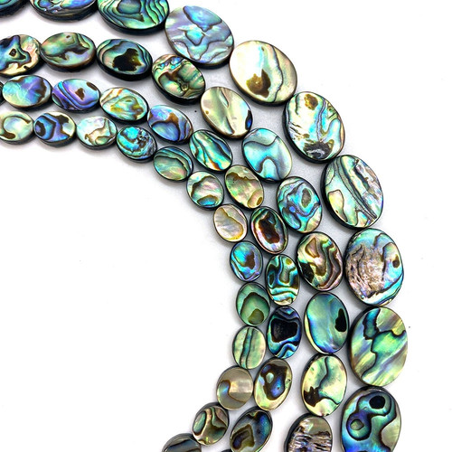20pcs natural abalone paua - natural,