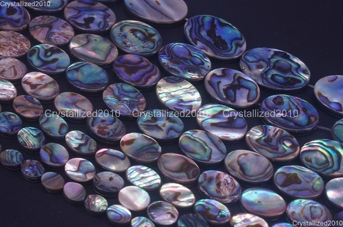 Genuine rainbow abalone shell - rainbow,