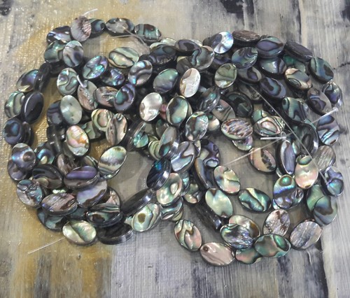 Natural abalone paua shell - natural,