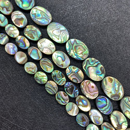 10pcs natural abalone paua - abalone,